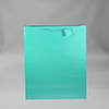 Medium Solid Matte Turquoise Gift Bag