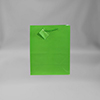 Large Solid Light Green Matte Gift Bag