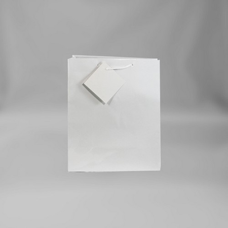 Small Solid Matte White Bag