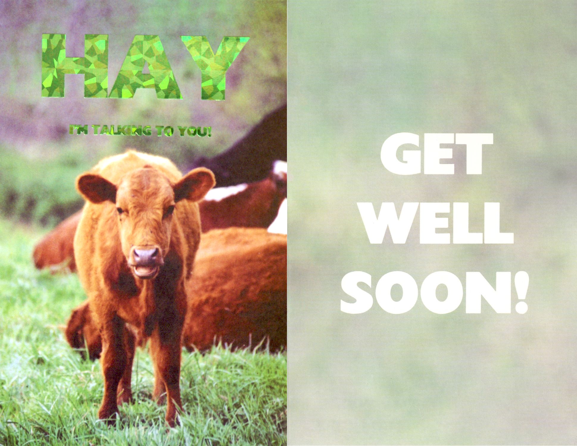 RL451 - Click Image to Close