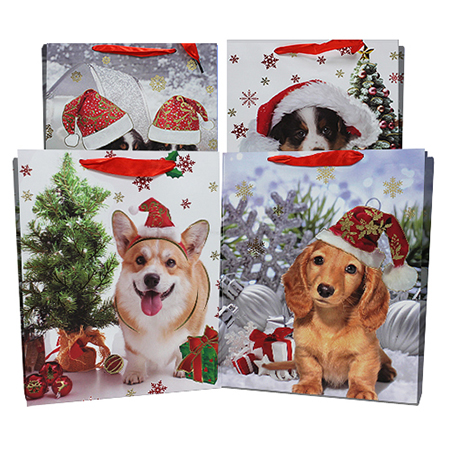 Large Christmas Matte w/ Foil Gift Bag