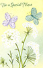 RL324B